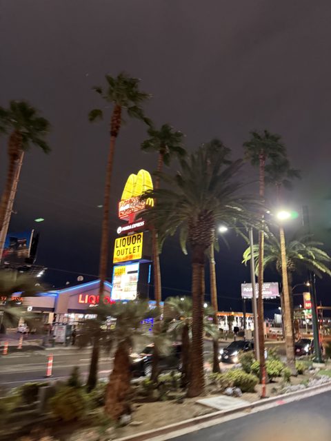 Las Vegas trip photo 134: IMG_8278