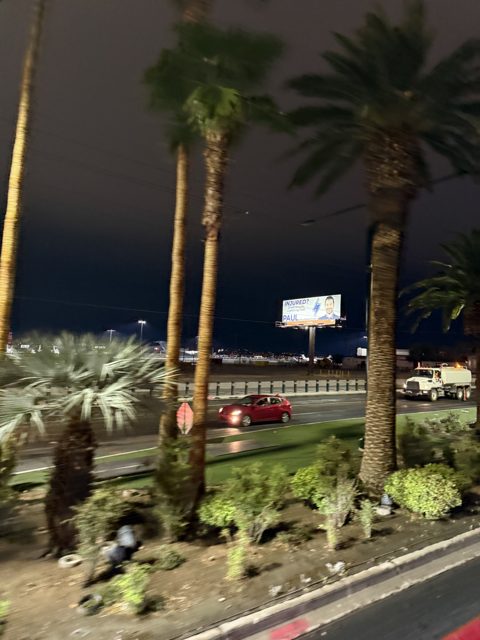 Las Vegas trip photo 137: IMG_8281