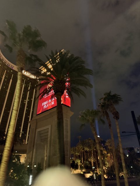 Las Vegas trip photo 175: IMG_8320