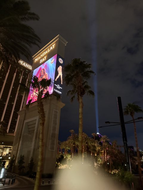 Las Vegas trip photo 177: IMG_8322