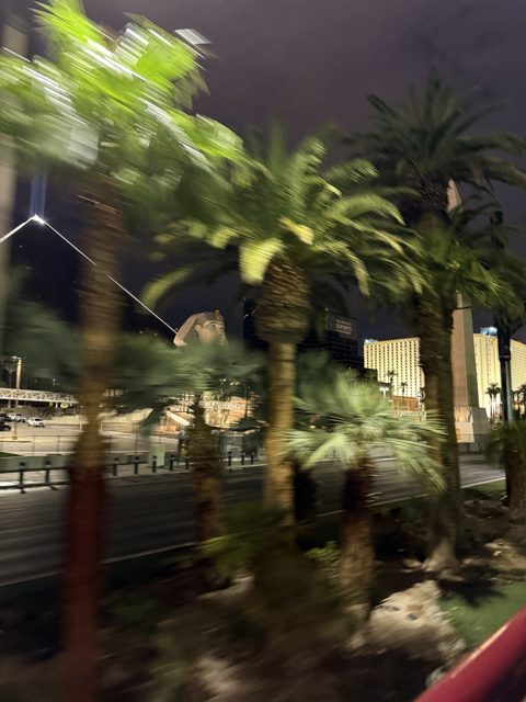 Las Vegas trip photo 186: IMG_8332