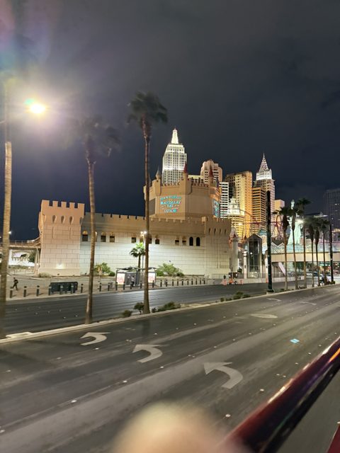 Las Vegas trip photo 198: IMG_8344