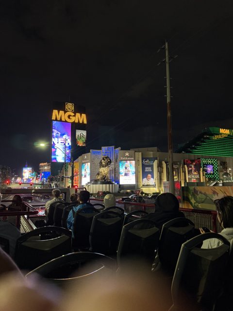 Las Vegas trip photo 199: IMG_8345