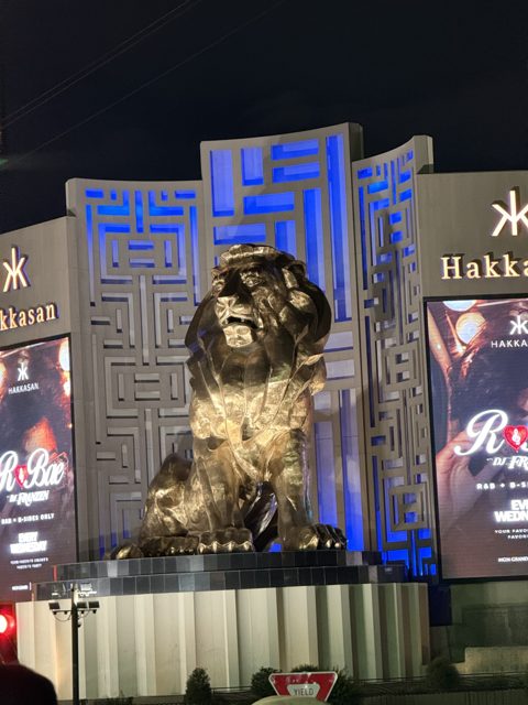 Las Vegas trip photo 200: IMG_8346