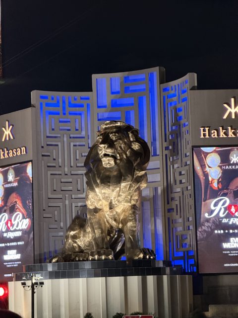 Las Vegas trip photo 201: IMG_8347
