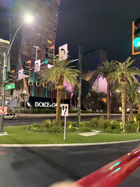 Las Vegas trip photo 216: IMG_8362