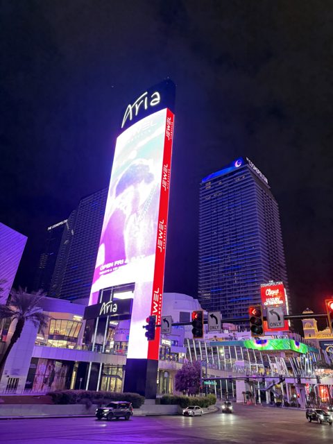 Las Vegas trip photo 220: IMG_8366