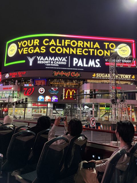 Las Vegas trip photo 225: IMG_8371