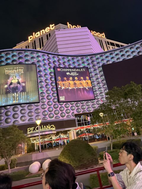 Las Vegas trip photo 229: IMG_8376