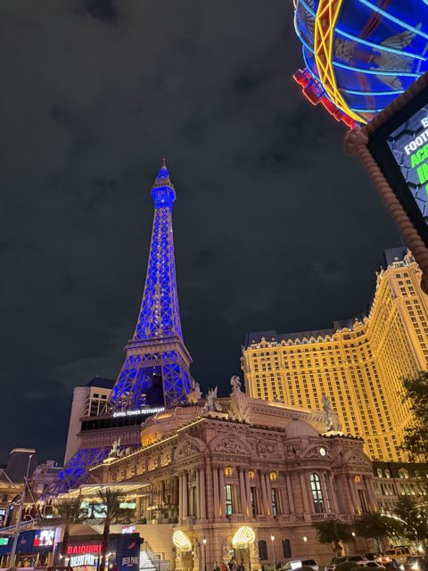 Las Vegas trip photo 231: IMG_8378