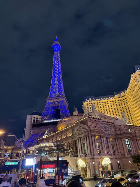 Las Vegas trip photo 232: IMG_8379
