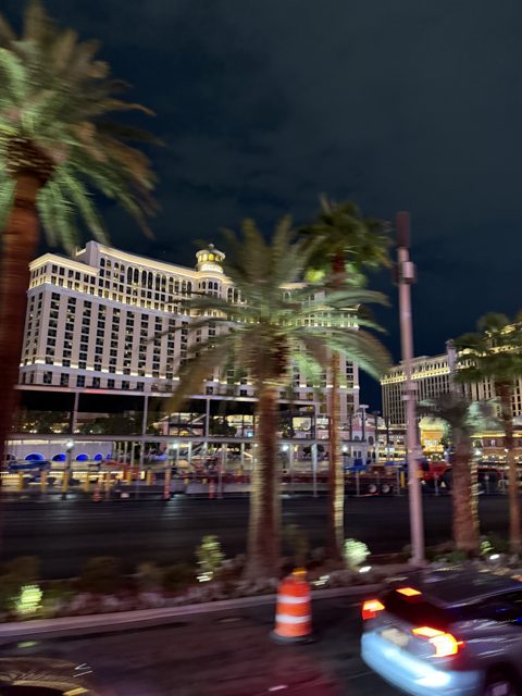 Las Vegas trip photo 233: IMG_8380