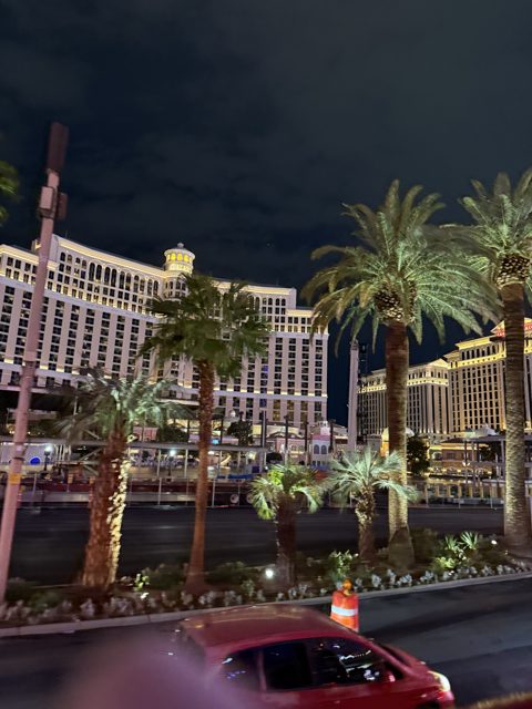 Las Vegas trip photo 234: IMG_8381
