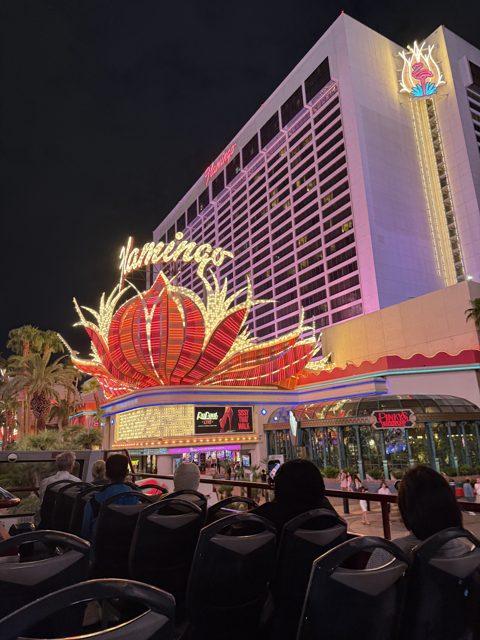 Las Vegas trip photo 238: IMG_8385