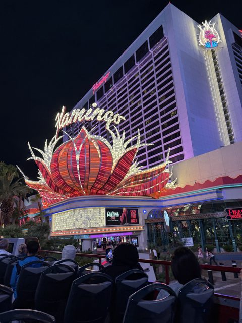 Las Vegas trip photo 239: IMG_8386
