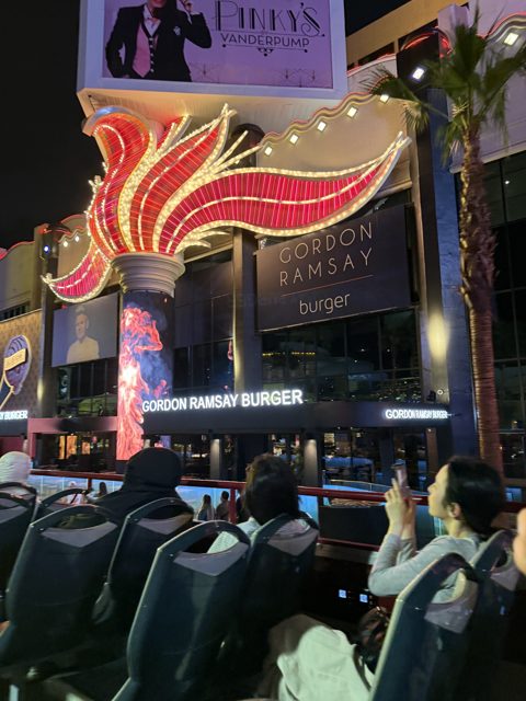 Las Vegas trip photo 242: IMG_8389