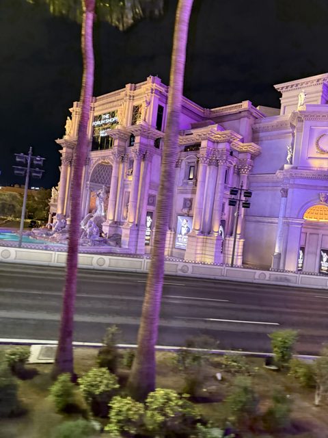 Las Vegas trip photo 245: IMG_8392