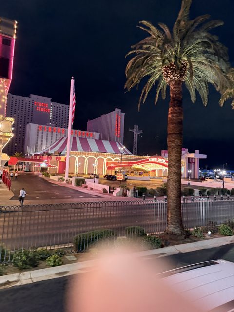 Las Vegas trip photo 266: IMG_8415