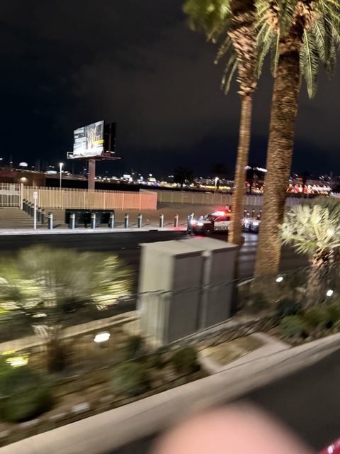 Las Vegas trip photo 271: IMG_8420