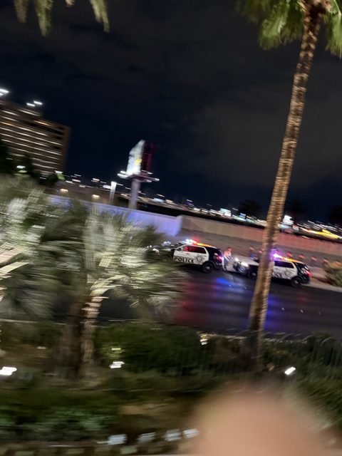 Las Vegas trip photo 272: IMG_8421