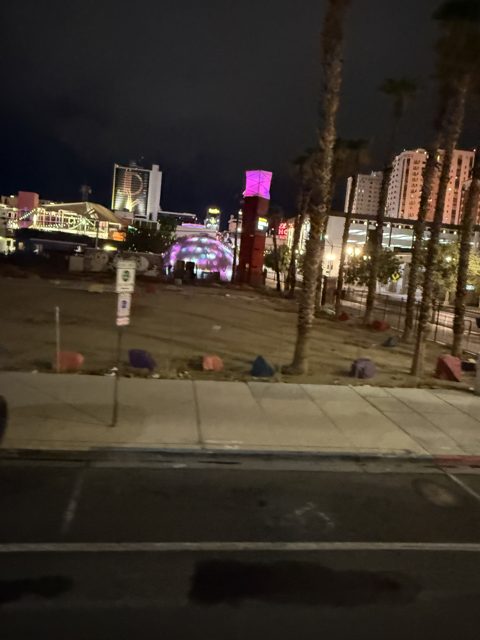 Las Vegas trip photo 314: IMG_8463