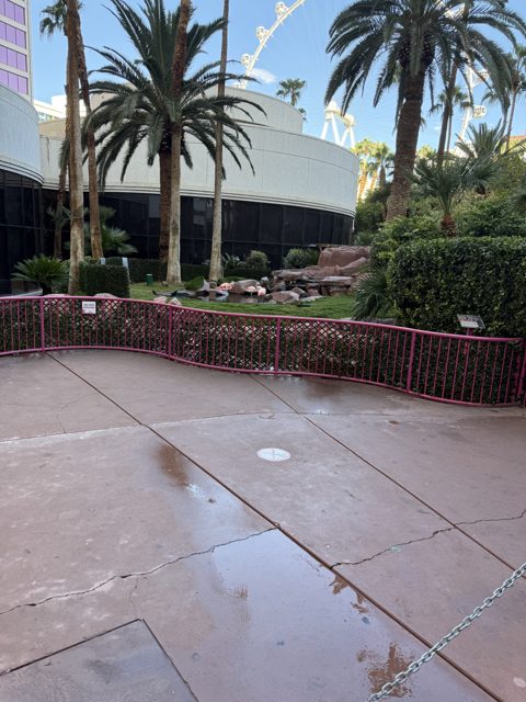 Las Vegas trip photo 342: IMG_8491